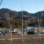 Thumbnail of post image 039