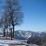 Thumbnail of post image 055