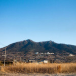 Thumbnail of post image 144