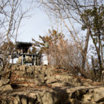 Thumbnail of post image 068