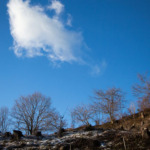 Thumbnail of post image 137