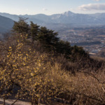 Thumbnail of post image 092