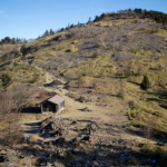 Thumbnail of post image 180