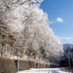 Thumbnail of post image 051