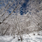 Thumbnail of post image 196