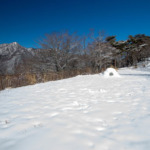 Thumbnail of post image 170