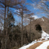 Thumbnail of related posts 104