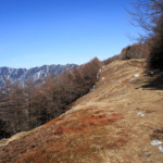 Thumbnail of post image 051
