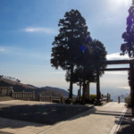 Thumbnail of post image 126