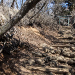 Thumbnail of post image 124