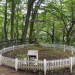 Thumbnail of post image 076