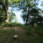 Thumbnail of post image 166