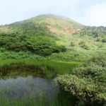 Thumbnail of post image 015