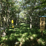 Thumbnail of post image 016