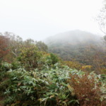 Thumbnail of post image 070