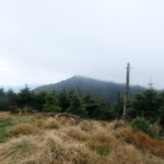 Thumbnail of post image 061