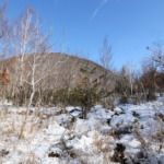 Thumbnail of post image 189