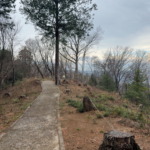 Thumbnail of post image 076