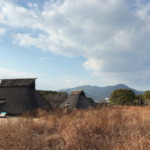 Thumbnail of post image 055