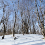 Thumbnail of post image 169