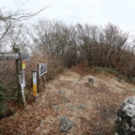 Thumbnail of post image 103