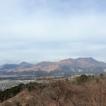 Thumbnail of post image 182