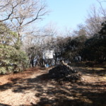 Thumbnail of post image 075