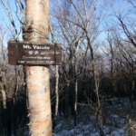 Thumbnail of post image 024