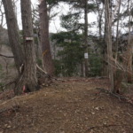 Thumbnail of post image 035