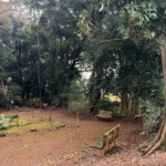 Thumbnail of post image 003