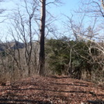 Thumbnail of post image 082