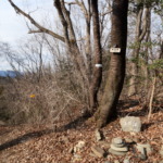 Thumbnail of post image 160