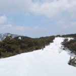 Thumbnail of post image 046