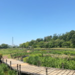 Thumbnail of post image 117