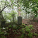 Thumbnail of post image 006