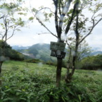 Thumbnail of post image 072