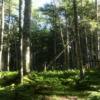 Thumbnail of related posts 157